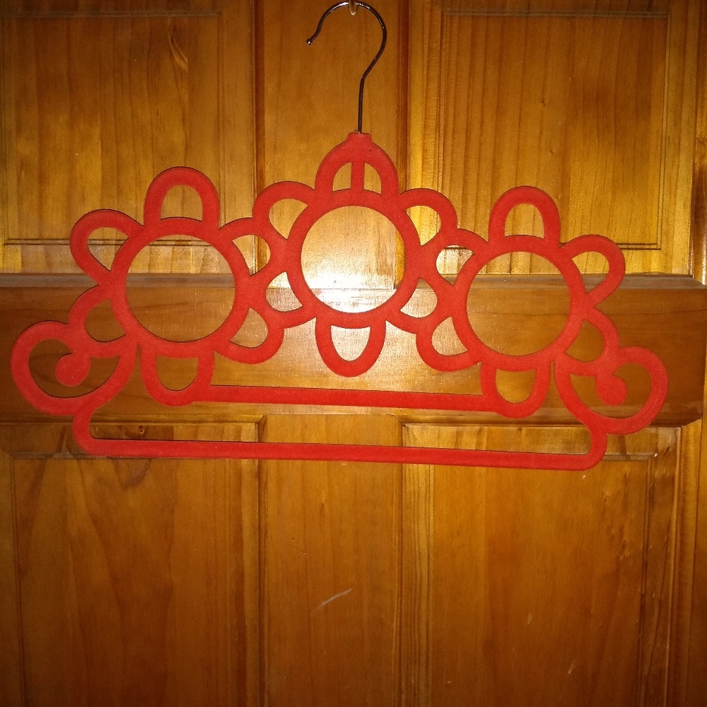 Scarf organizer